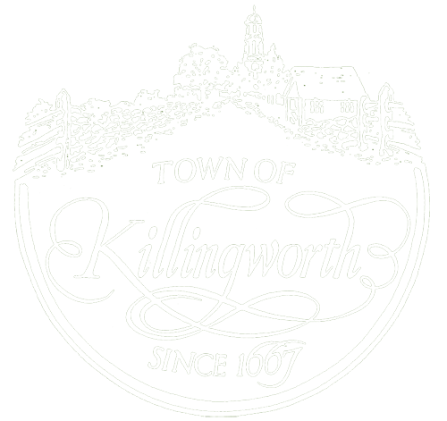 Town of 人妖啪啪啪视频